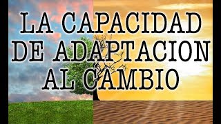 Jorge Bucay  La capacidad de adaptación al cambio [upl. by Laetitia]