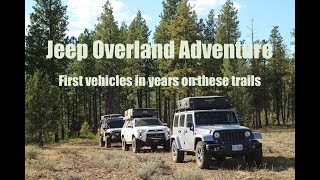 Jeep Overland Car Camping Adventure  Clearing Trail Epic Campsite First Vehicles [upl. by Ahsekram121]