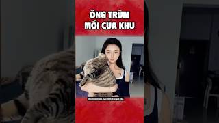 Ông trùm mới của khu khongphitienmang [upl. by Ebag142]