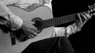 Spanish Guitar Flamenco Malaguena  Great Guitar by Yannick lebossé [upl. by Ellehcit]