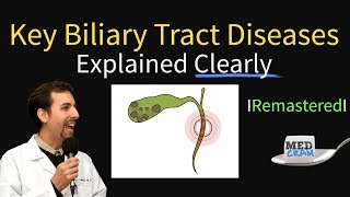 Key Biliary Tract  Cholestatic Diseases amp Labs Explained [upl. by Rodmun]