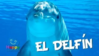 El Delfín  Videos Educativos para Niños [upl. by Amehsat]