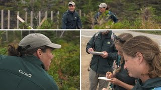 Bring Back the Boreal Restoring Balance to Cape Breton Highlands National Park [upl. by Rowe]