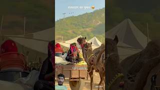 🤩Rajasthan famous desert pushkar 👌shorts rajasthnlife desertculture pushkar jaisalmer ajmer [upl. by Adyht]