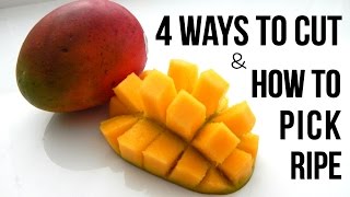 4 BEST WAYS TO CUT MANGO FAST [upl. by Etteuqram]