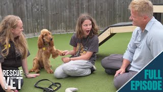 Surprising my daughter by adopting a rescue dog  Rescue Vet with Dr Scott Miller [upl. by Schiro593]