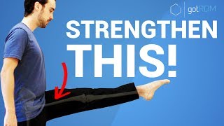 HIP STRENGTH amp STABILITY FOR HYPERMOBILITY Dancers Gymnasts and Yogis [upl. by Ihcas]