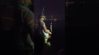 Double hook amazing catch big size doma fish in madh jetty fishing fishingvideo beach roadto5k [upl. by Atiragram768]