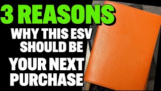 3 REASONS why this needs to be your next ESV [upl. by Nyvets]