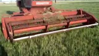 Hesston Mower Conditioner Swather [upl. by Dove]