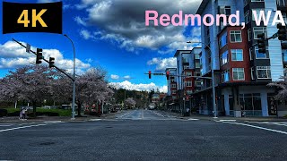 Downtown Redmond WA Driving Tour in Spring 2023 [upl. by Griffy]