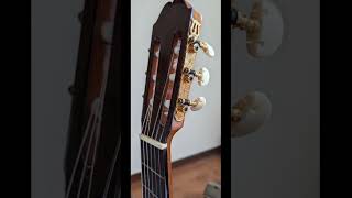 Kodaira ast 150 mới giá 20 triệu guitar [upl. by Nywles855]