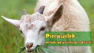 Algorytmy Obliczanie pierwiastka – metoda połowienia przedziału [upl. by Leirua289]