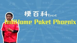 印尼电信广告 IndiHome Paket Phoenix是什么梗【梗指南】 [upl. by Avevoneg]