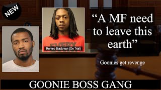 Witness testifies about Goonies getting revenge for hit on Lil As Brother [upl. by Devy706]