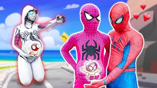 TEAM SPIDERMAN vs BAD GUY TEAM 29  Rescue Pregnant White Spider from CRAZY Jocker Action Movie [upl. by Eachern]