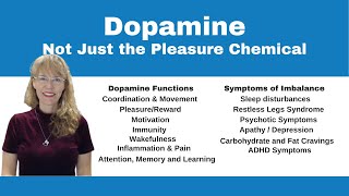 Demystifying Neurotransmitters Serotonin Dopamine and Beyond [upl. by Deanna]