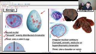 CYTOLOGY LECTURE 1  INTRODUCTION TO CYTOLOGY [upl. by Asille294]