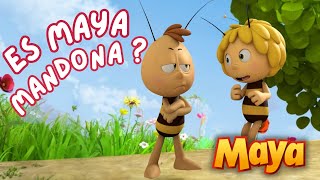 ¿LE GUSTA DEMASIADO A MAYA DAR ÓRDENES🫡🫡 MEJORES CAPÍTULOS DE MAYA para niños en ESPAÑOL 🐝 [upl. by Llenod]