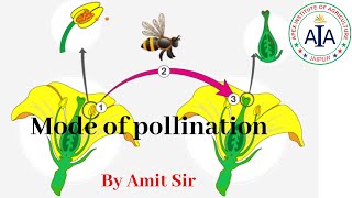 Mode of pollination  By Amit Sir  Apex Studies  AIA Jaipur [upl. by Sletten]