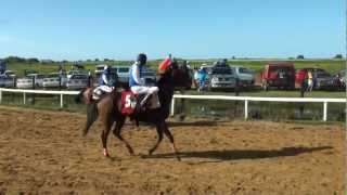 Bush Lot Turf ClubGuyana Horse RacingKENNARD MEMORIAL TURF CLUBBerbice [upl. by Zaneta]