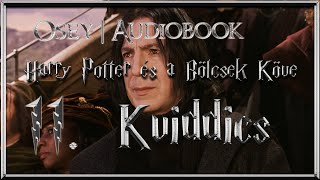 Harry Potter és a Bölcsek Köve hangoskönyv  11 fejezet [upl. by Ellenhoj827]