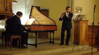 Bach Sonata BWV 1032 Flute amp Obbligato Harpsichord [upl. by Flossy]