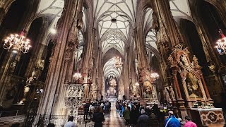 Concert in Vienna Cathedral liveconcert austria music [upl. by Giefer]