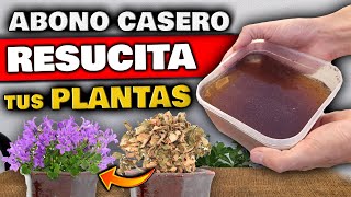 REVIVE PLANTAS ENFERMAS o SECAS  Aplica ESTO para CURAR tu PLANTA  Fertilizante Casero Natural [upl. by Sapphera]