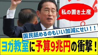 9兆円支出とSDGs・外国人支援の真実！財務省の隠された思惑 [upl. by Leihcar]