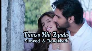 Khushi de Ke Tumko Gham Udhar Liya Slowed amp Reverbed Tara Suteria Ahan ShettyTadapArijit Singh [upl. by Sivehc]