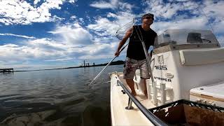 Patuxent River Maryland Blue Crabbing [upl. by Lauhsoj106]