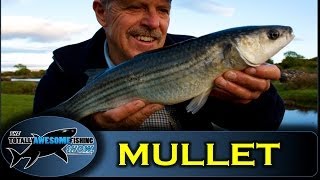 How to catch creek Mullet  Ireland shore fishing  Totally Awesome Fishing Show [upl. by Tilney714]