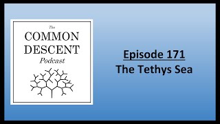 Episode 171  The Tethys Sea [upl. by Nylarad]