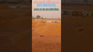 🌾🤑new Chhattisgarhi Tik tok video CG Reels Instagram video New Cg video status c 💐 [upl. by Anear]