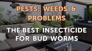 The Best Insecticide for Bud Worms [upl. by Azar833]