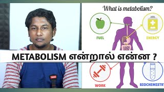 Metabolism என்றால் என்ன [upl. by Aivad708]