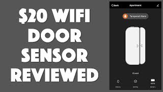 The Budget quotPumicequot WiFi Door Window Sensor Reviewed [upl. by Olemrac363]