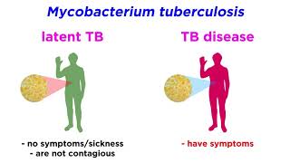 MultidrugResistant Tuberculosis MDRTB Mycobacterium tuberculosis [upl. by Anahtor892]