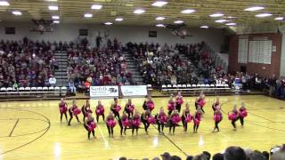 2015 Nationals Dance Norfolk High Pink Panthers [upl. by Boot]