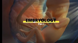 INTRODUCTION OF EMBRYOLOGY Part 1  EMBRYOLOGY SERIES [upl. by Idnas655]