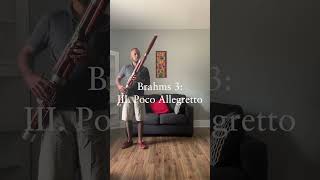 Bassoon Cover Brahms 3 Horn Solo III Poco Allegretto [upl. by Ecyarg]