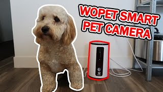 WOPET SMART PET CAMERA WITH TREAT DISPENSER 2021  unboxing review amp set up [upl. by Novej]