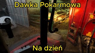 🐮Codzienne Obowiązki🐮 [upl. by Zimmerman630]