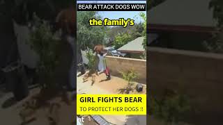 Brave Girl Fights Off Bear Attack [upl. by Yrrot]