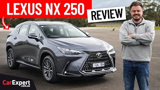 2024 Lexus NX inc 0100 braking amp autonomy review [upl. by Izy857]