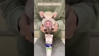 STOP ANIMAL TESTING [upl. by Beera]