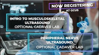 Musculoskeletal and Peripheral Nerve Ultrasound Courses [upl. by Merdith]