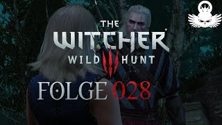 Lets Play The Witcher 3 Wild Hunt 028  Wanderung im Dunkeln  DE  HD [upl. by Arriet]