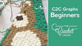 How to Crochet Corner to Corner C2C Graphghans for Beginners [upl. by Rebmyt651]